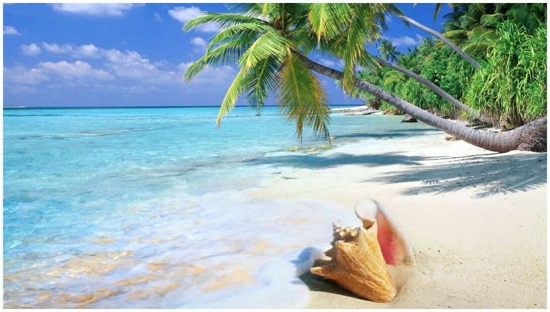 Stylish Tropical Beach Backgrounds For Desktop