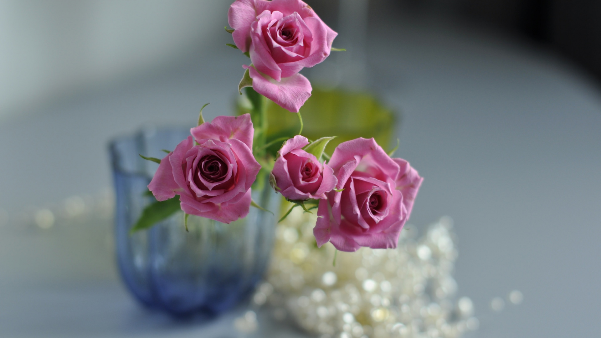 High Definition New Rose Flower Wallpapers