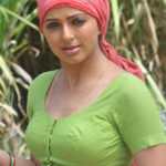 Bhumika Chawla in Indian saree