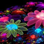 colourful wallpapers for mobile phone