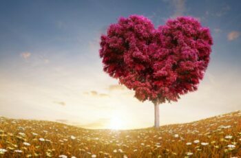 New Heart Love Abstract HD Wallpapers