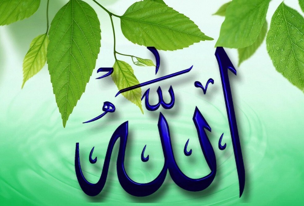 Beautiful Allah Name HD Wallpaper Images Free Download