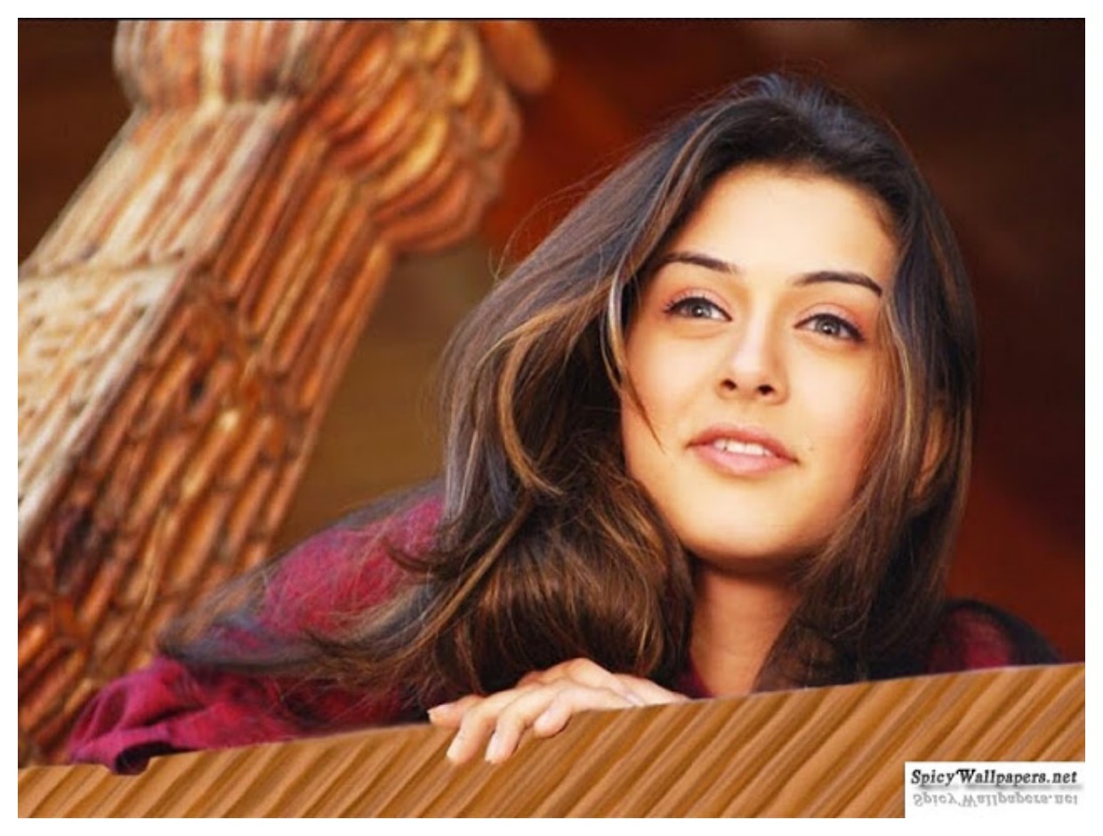 Indian actress Hansika Motwani HD Wallpaper (13)