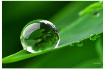 Dewdrops Crystal, Rain, Drop, Butterfly,