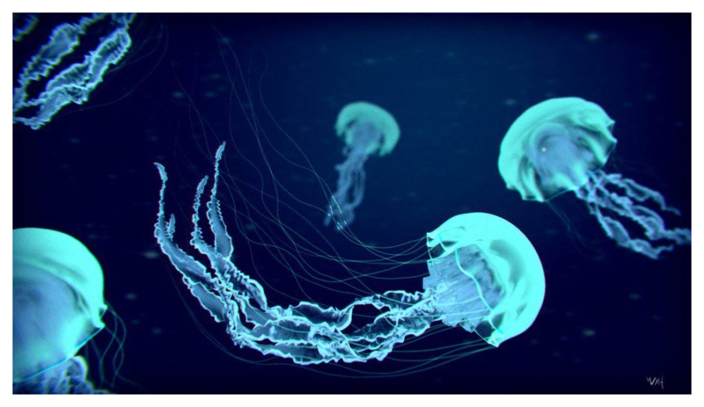 Jellyfish Hd Wallpaper Iphone