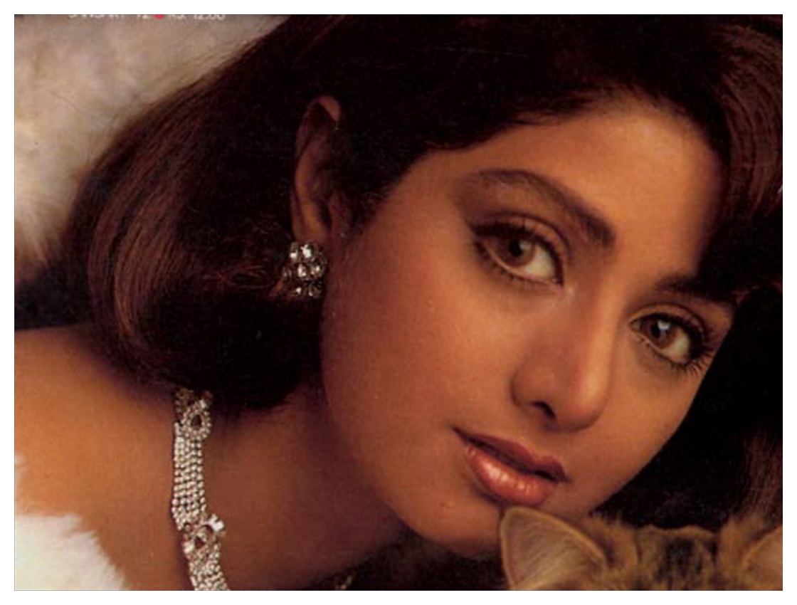 New Sridevi Photos, Pics, Images & Wallpapers