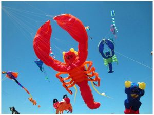 Why is Kite Flying Day celebrated