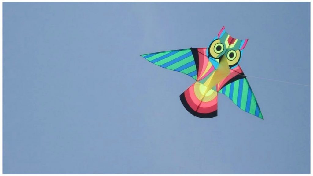 International Kite Festival in Gujarat Photos Rainbow