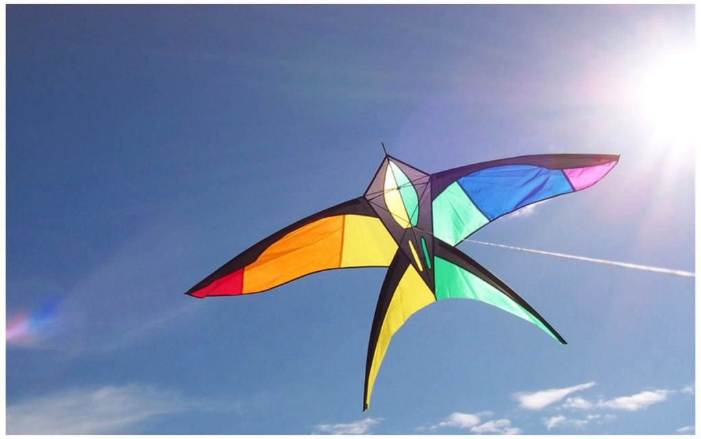 International Kite Festival people celebrating uttarayan kite festival