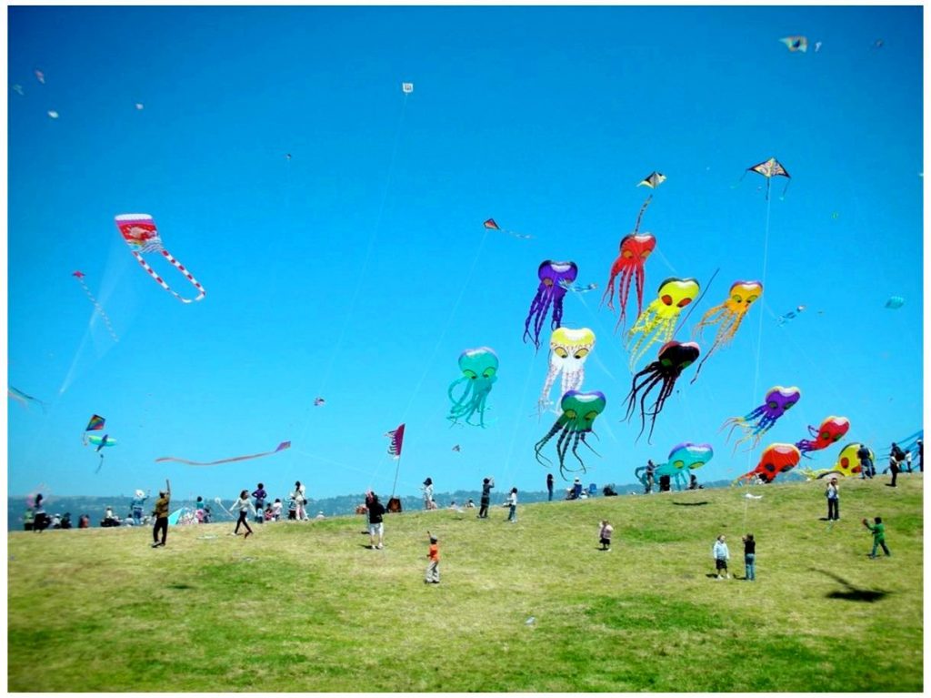 Kite Festivals In India